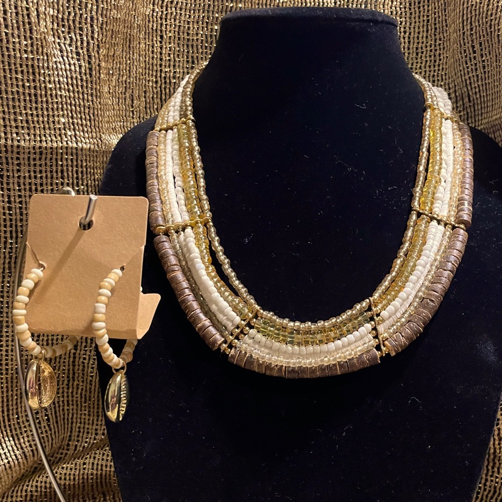 Park Lane Necklace and Priced Earrings.